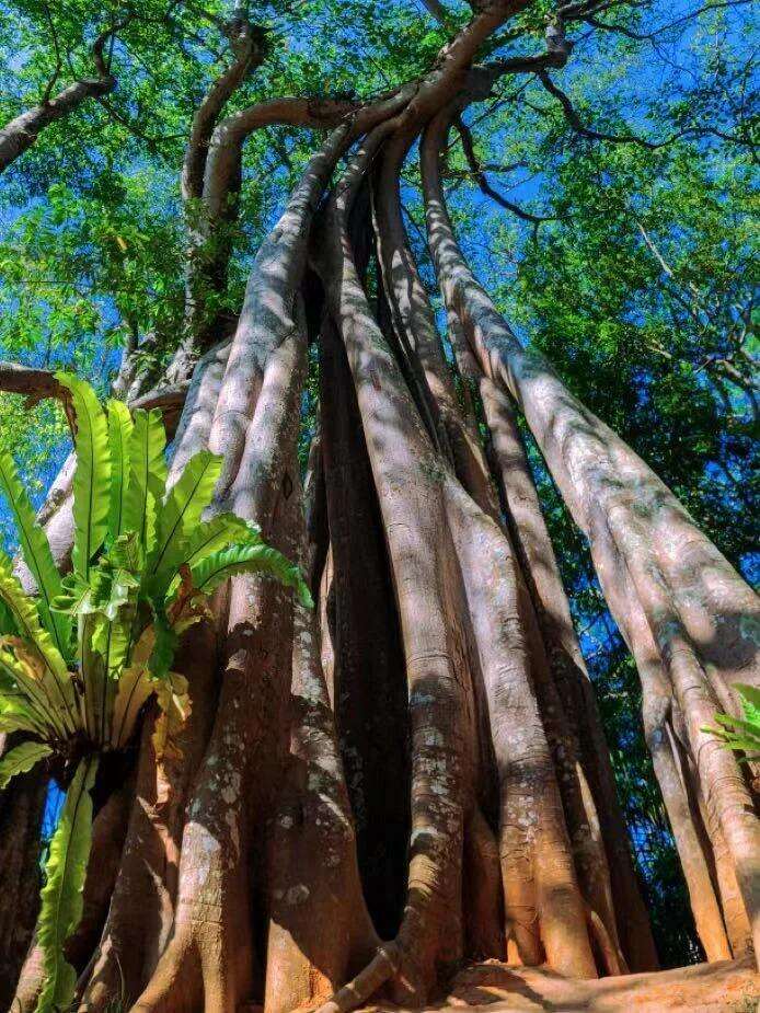 00000000nJfAHLbGLetcEHeQ