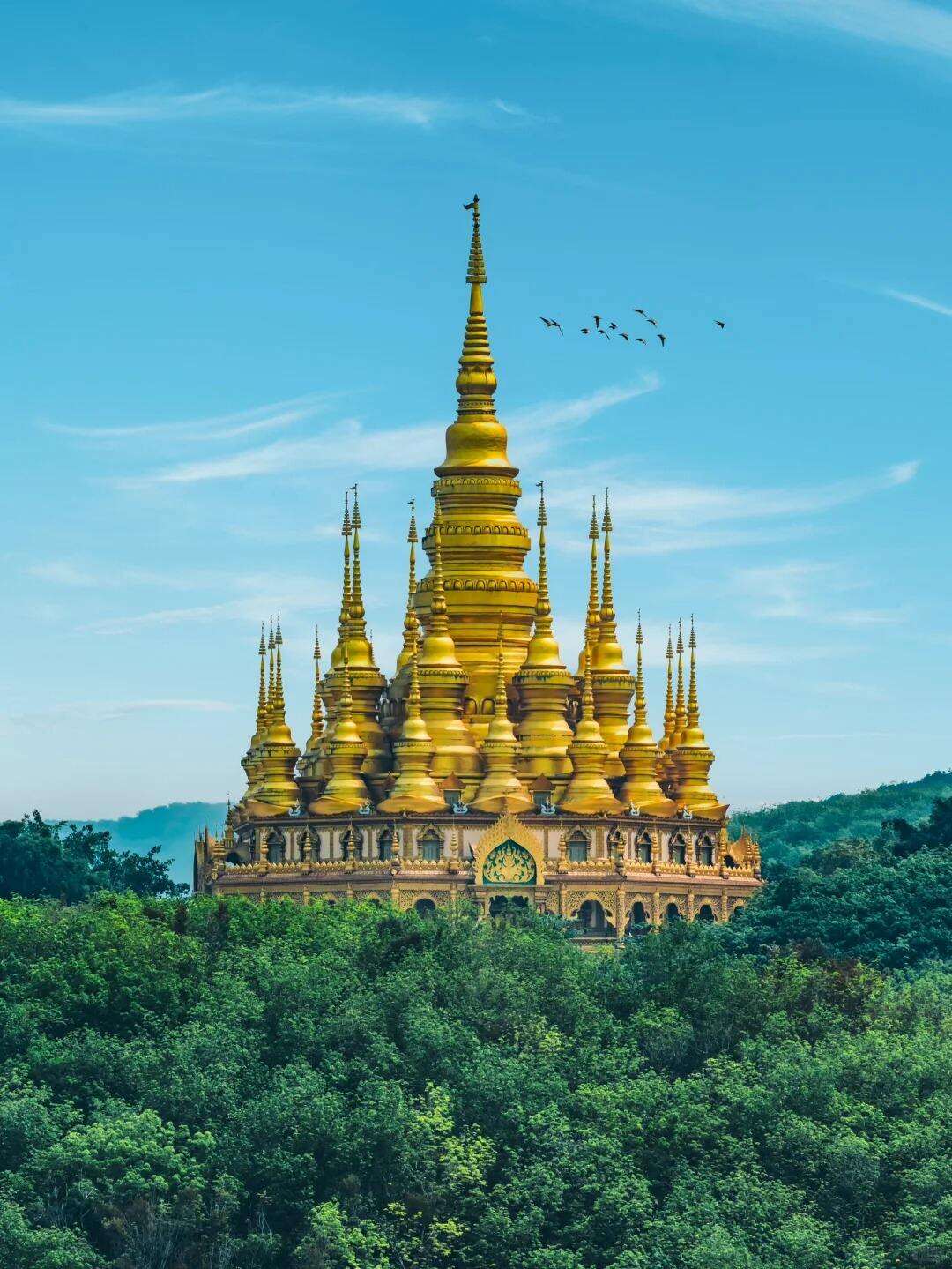 00000000nbhpYrFODbgVpNrv