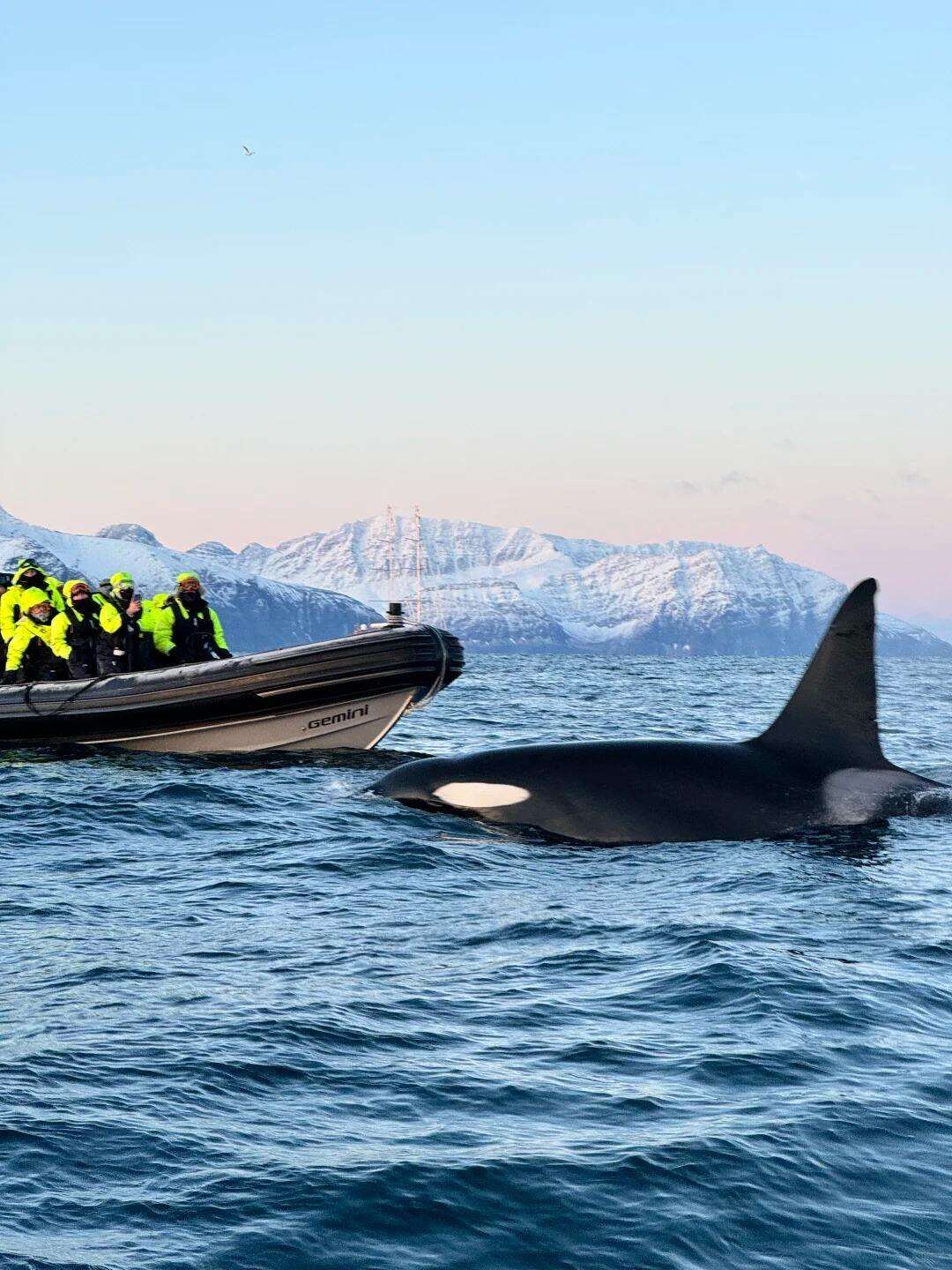 00000000noNPqroqKPwJAFyG 00000000noNPqroqKPwJAFyG