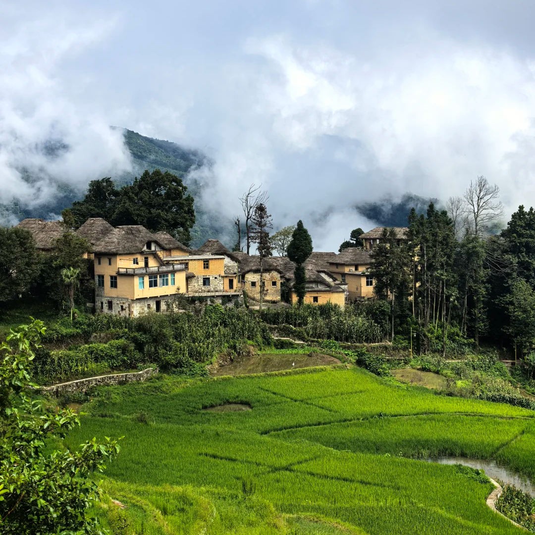 00000000nttwkiRlQWtDutcX 00000000nttwkiRlQWtDutcX