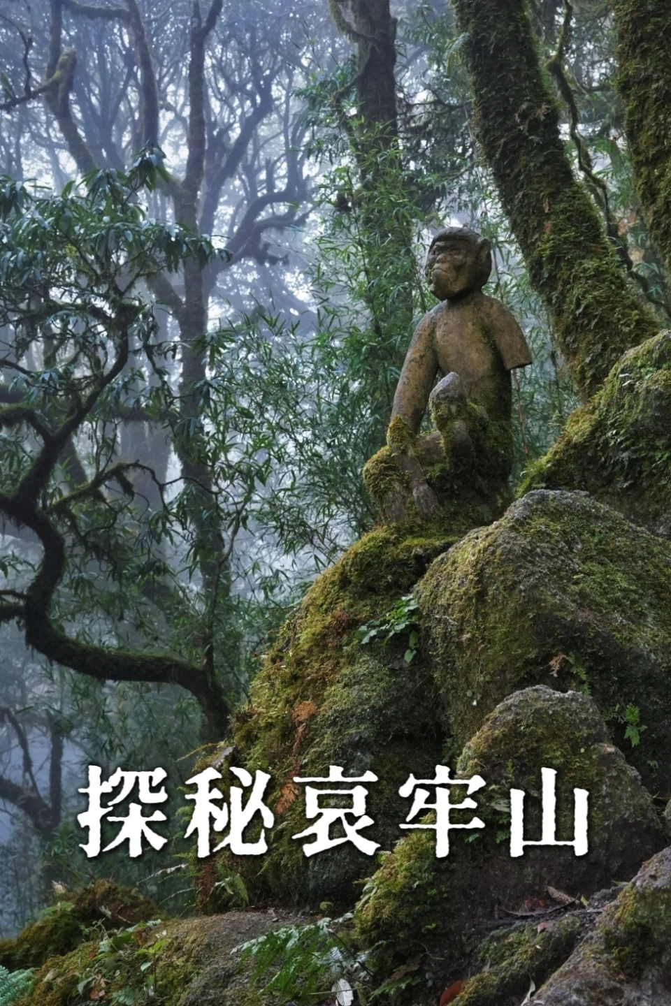 00000000pDtGbXRSypUfAeVC 00000000pDtGbXRSypUfAeVC