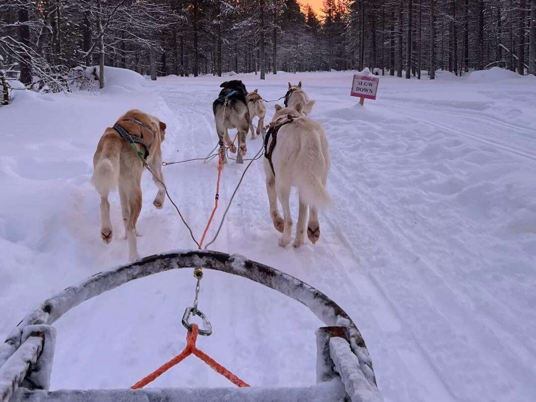 00000000pJQIeQXwqPSmHpck 00000000pJQIeQXwqPSmHpck