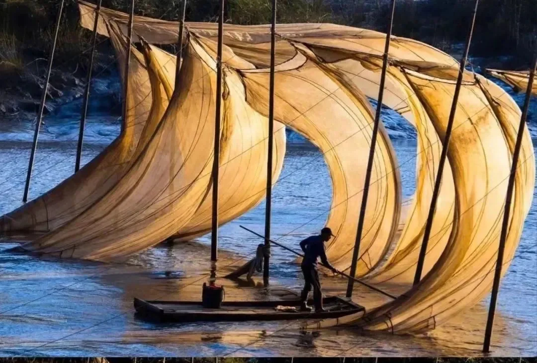 00000000phjNBhLaxfFpAXMq