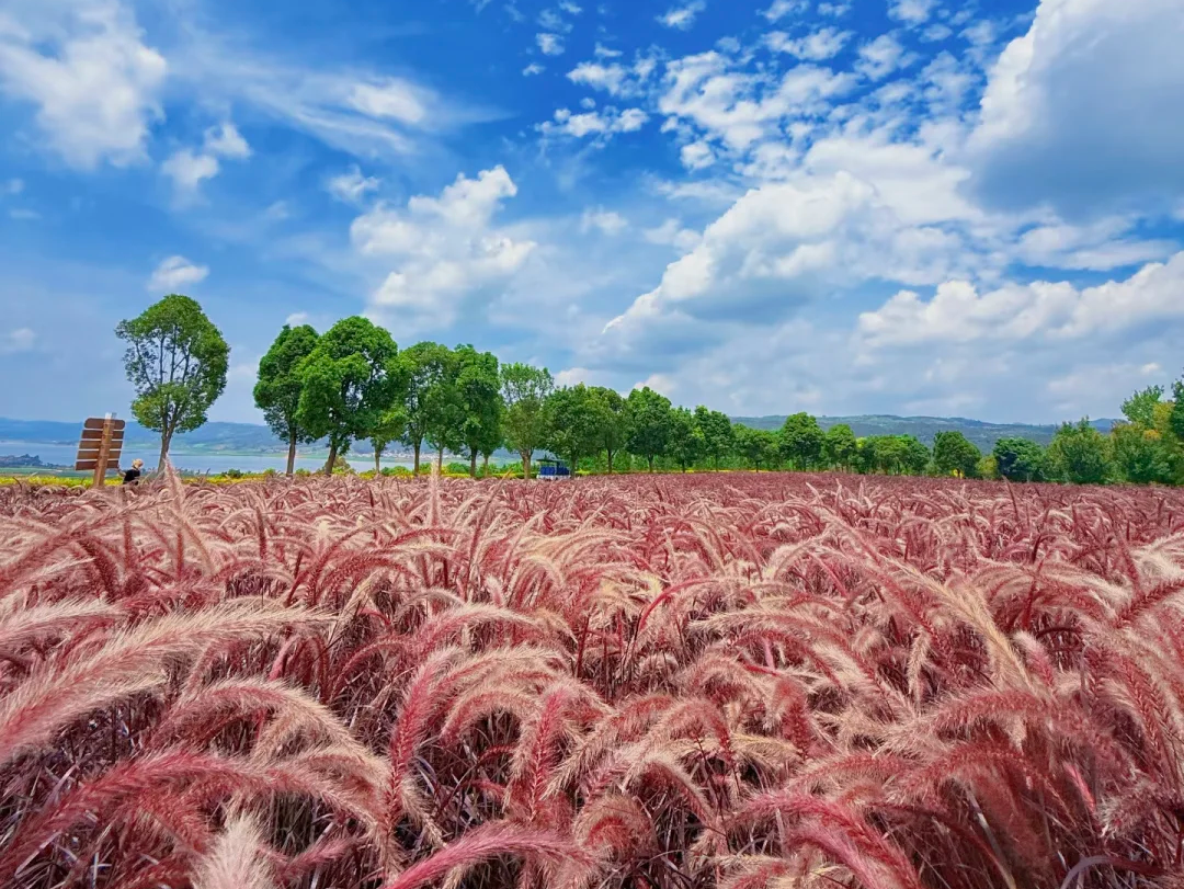 00000000puCYfeKKRGuQszwk 00000000puCYfeKKRGuQszwk