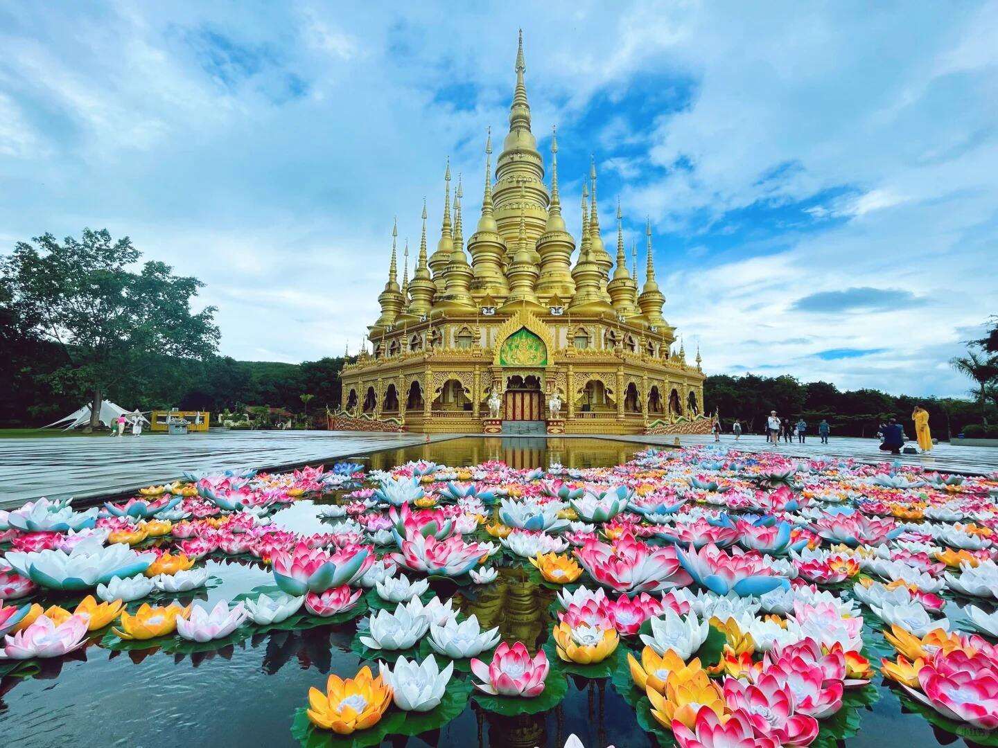 00000000qQBCXprhFhXRXxUl