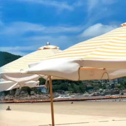 00000000qaHDXuaaksFkEDDS