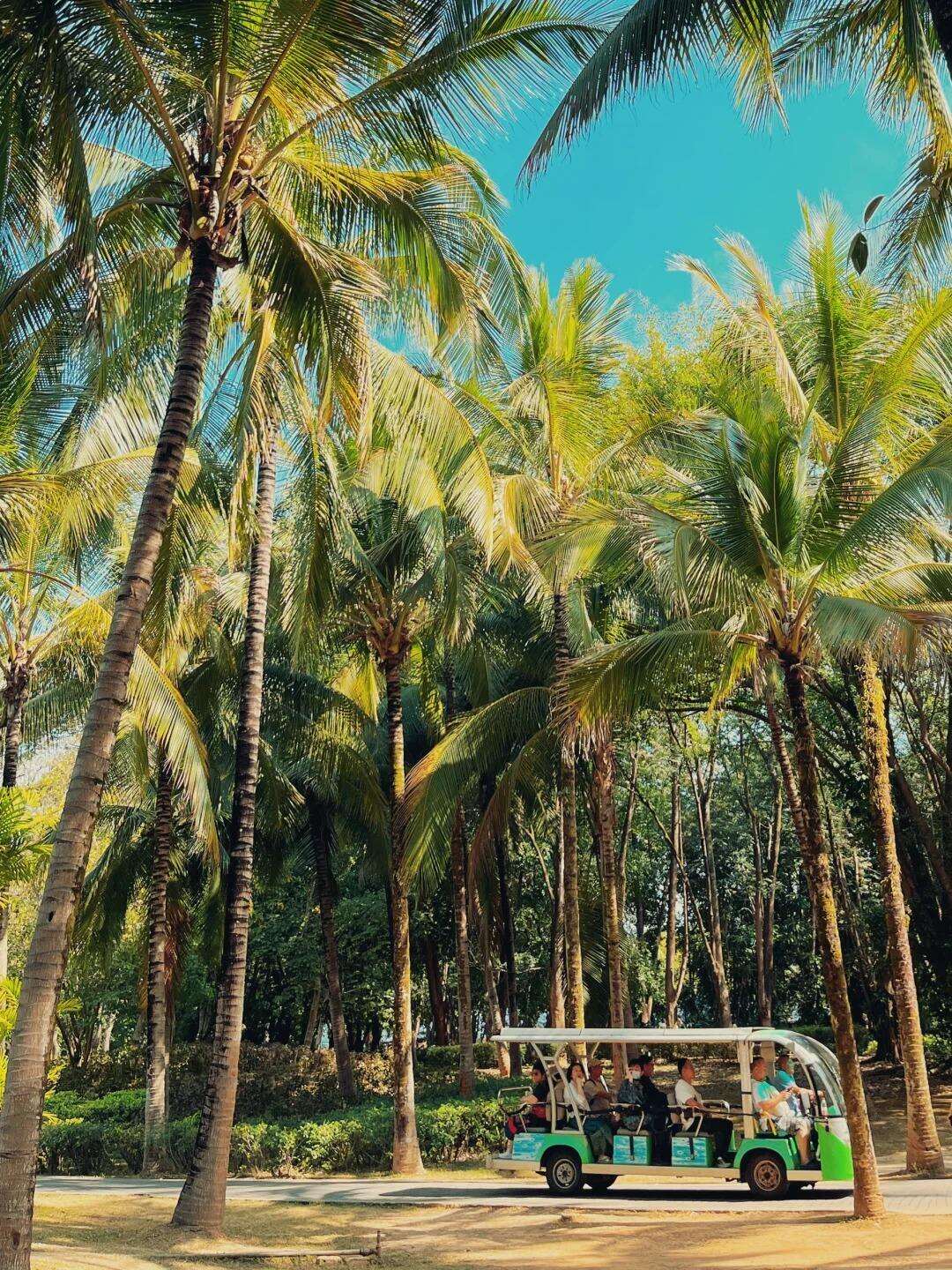 00000000qssLotuqFGRaKwqn