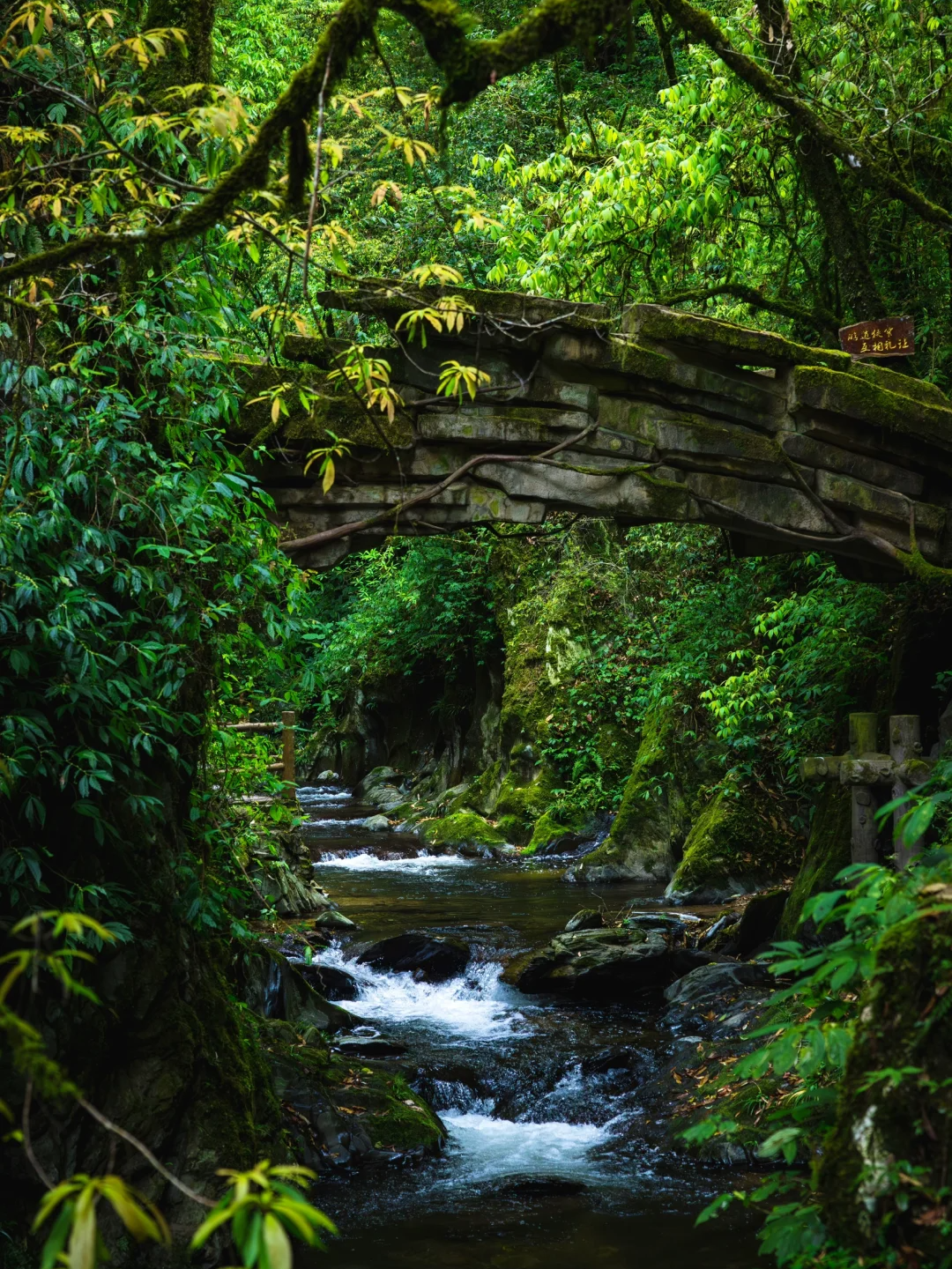 00000000riguzfvSTdbCYelI-1 00000000riguzfvSTdbCYelI-1