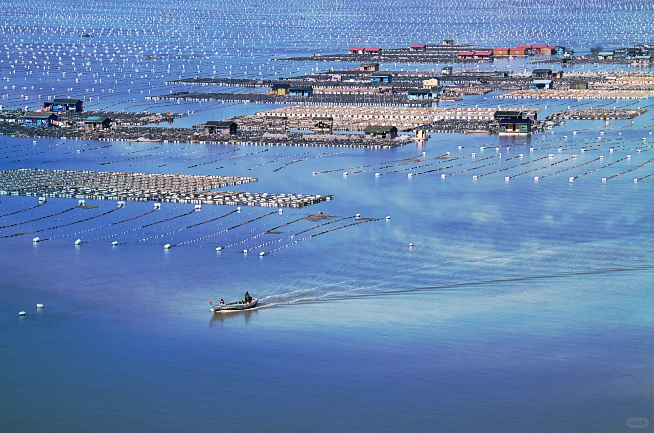 00000000rloucKktArzFDeXF