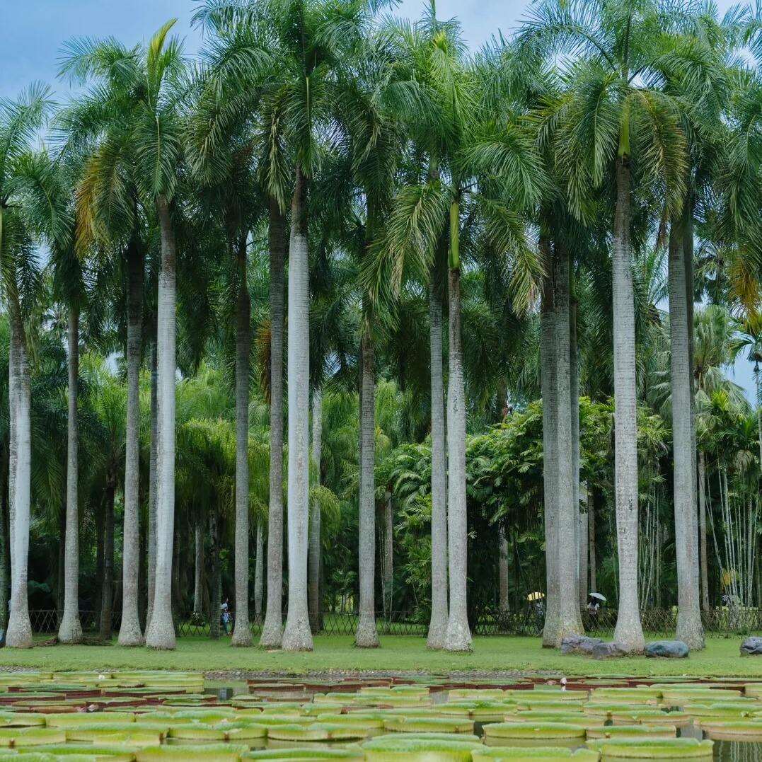 00000000rreNbMMiseqCqZYk