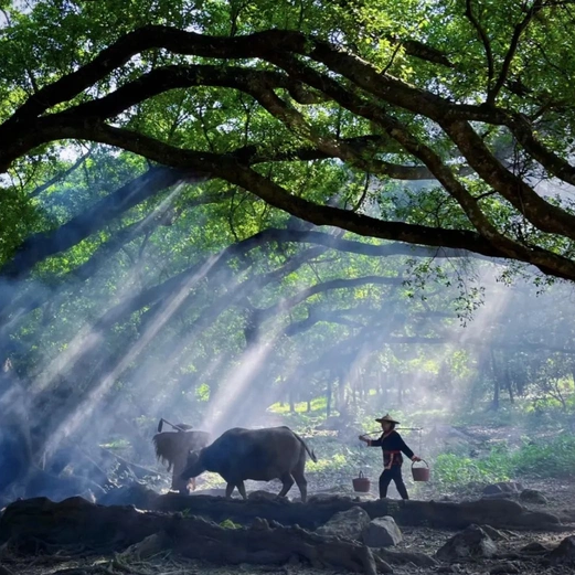 00000000scoHiwBDJZCwvkDg