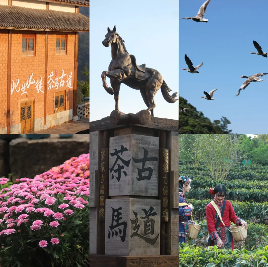 00000000tDkMakuCUEsMfVXG