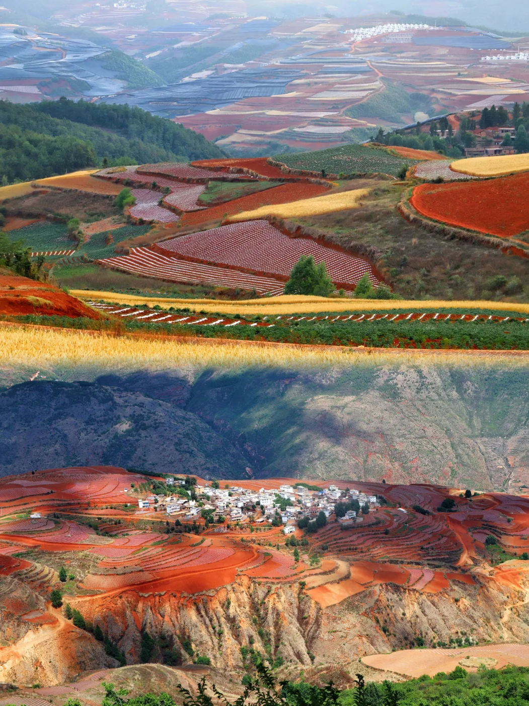 秘境滇东南遇见哀牢山 | 哀牢秘境云海梯田双遗双飞10日游