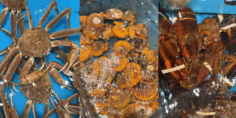 00000000unRyNLAcKzWKlzFJ