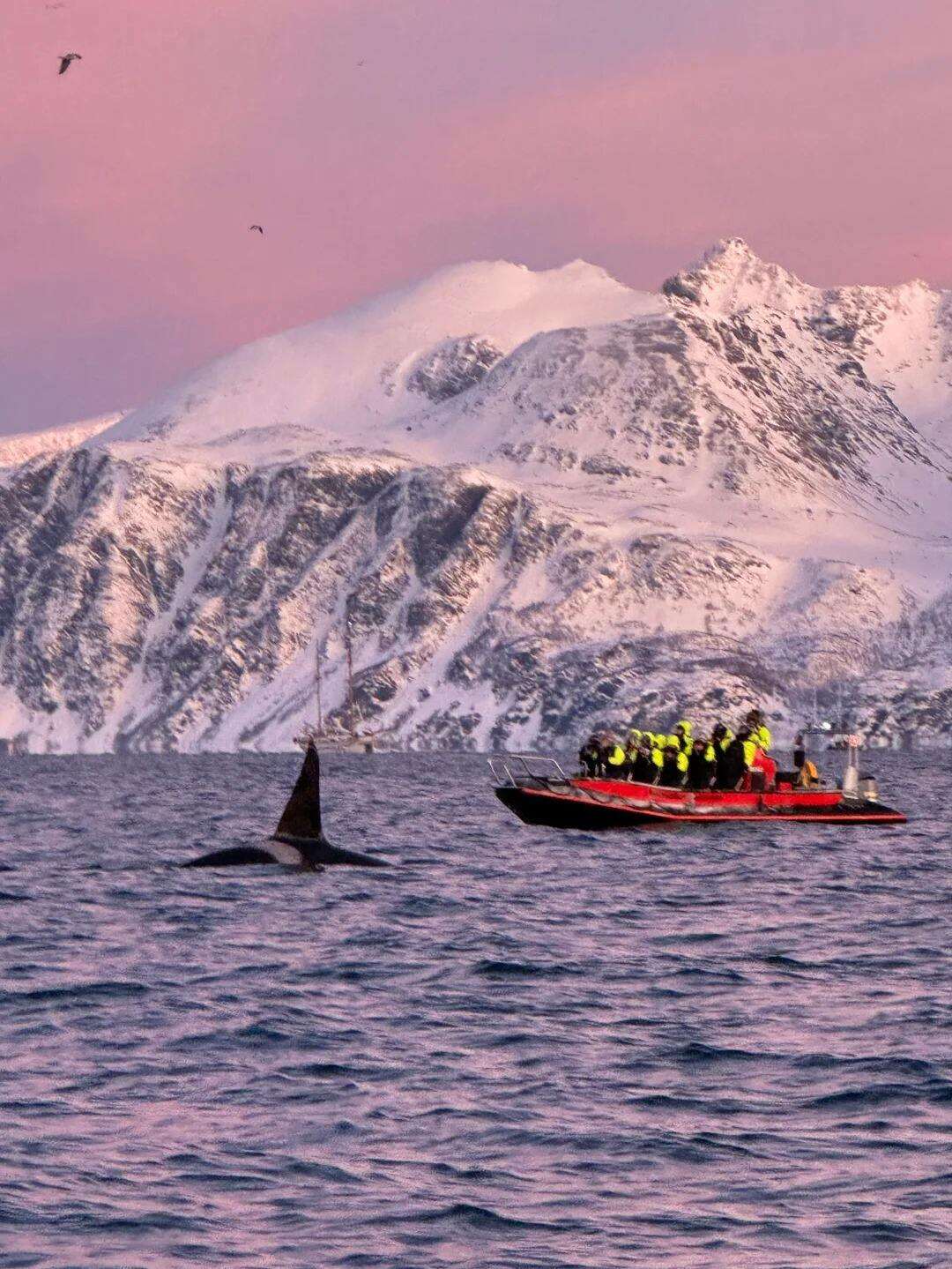 00000000vFvbiolnGOUTgqgl 00000000vFvbiolnGOUTgqgl