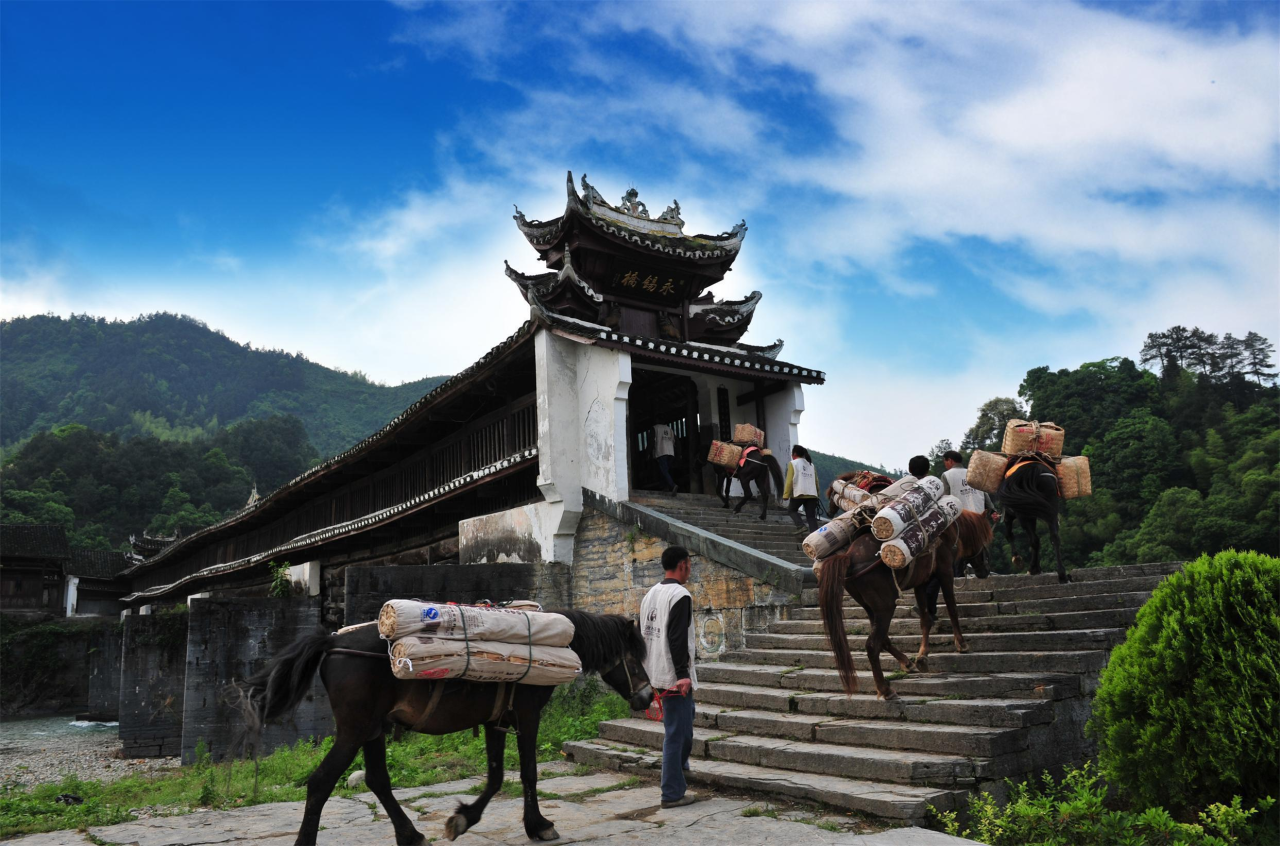 00000000vSBEqECddaNWGrpH