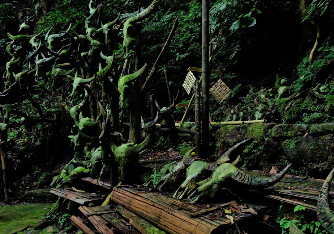 00000000vfFRlWRksuDSWERs