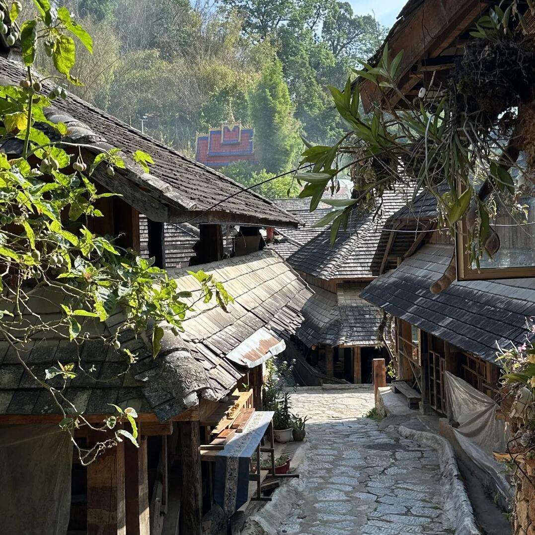 00000000wEUDmbzXlROGcWTC