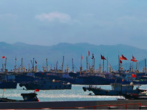 00000000xsqXwcmpBwptMtIT