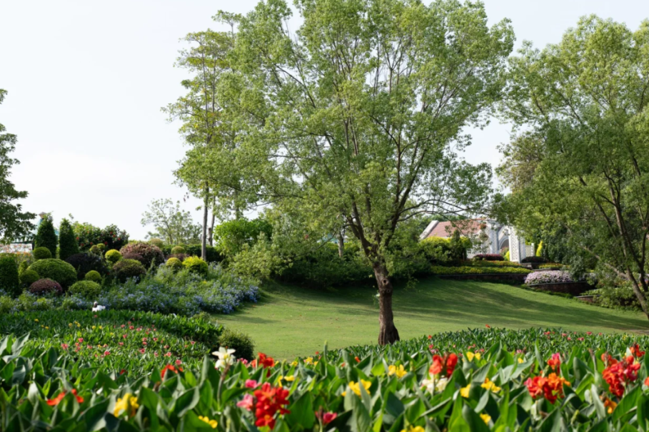 00000000yJJAPVJgIWZiWNgS 00000000yJJAPVJgIWZiWNgS