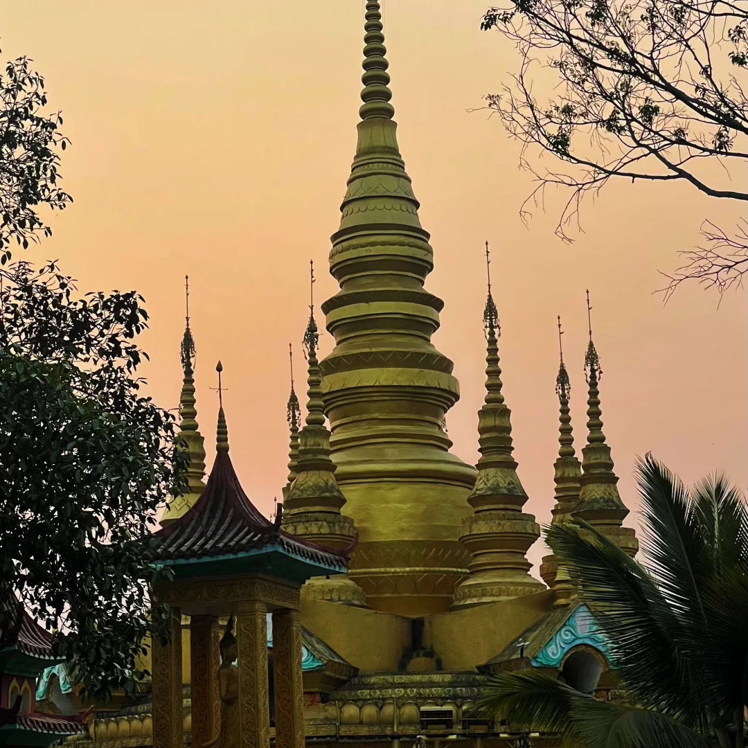 00000000ycQVIrdMFOVoGNCH