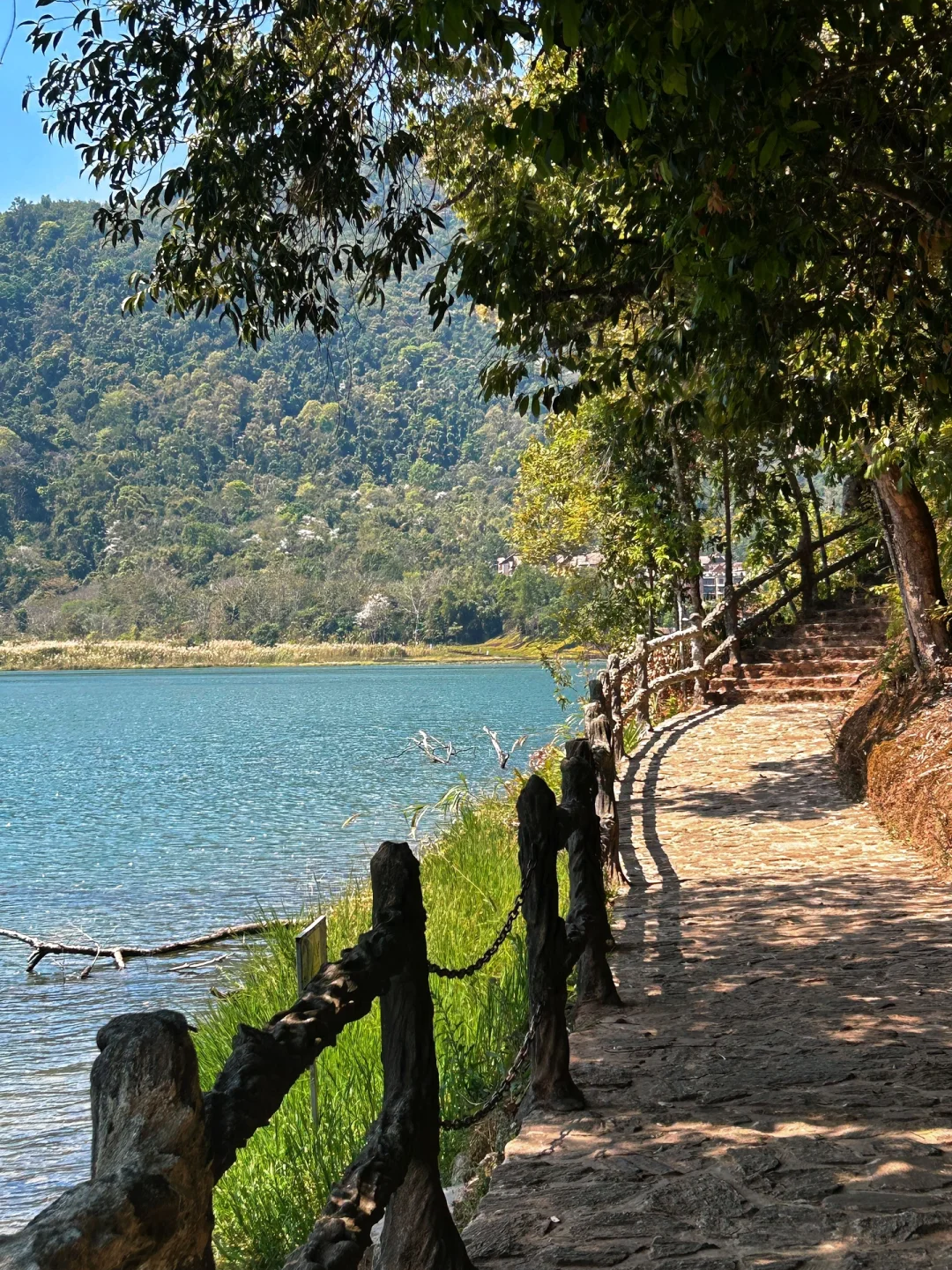 00000000ziFTyqeOdQDMbaXh