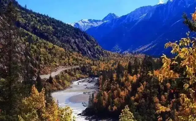 00b77ecbe28bd6e043f0a0b41be50295-sz_59502