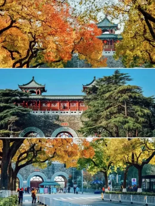 00b9784db965fb8545b9bbd51f459859-sz_989499 00b9784db965fb8545b9bbd51f459859-sz_989499