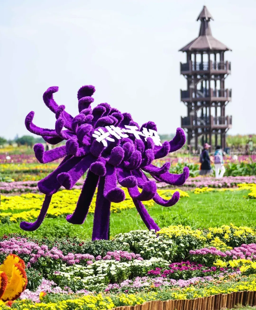 00cf81f5679430ab480f2c4acbba8ce6-sz_1899918