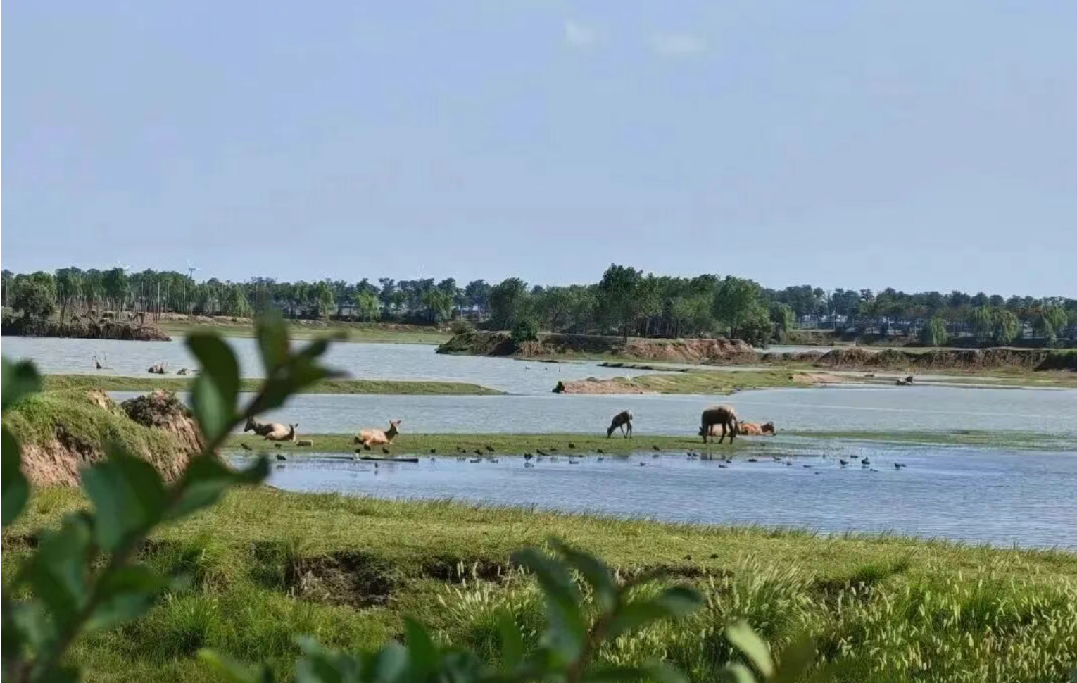 01148457a58e3c085970ac4c8f77ea22