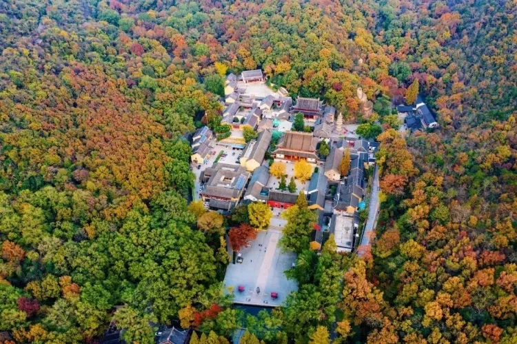 0136bbd61570eeda05bd8f07289700d3-sz_295435 0136bbd61570eeda05bd8f07289700d3-sz_295435