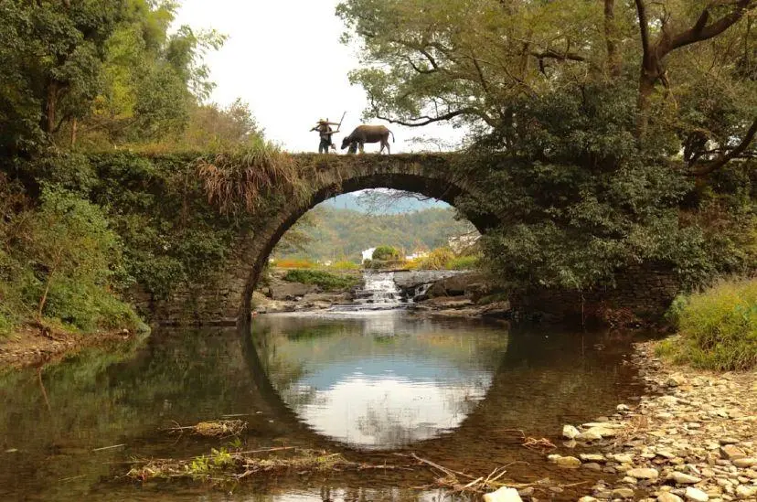 015354011cad2e720b0d1dd18ca44de3-sz_113233