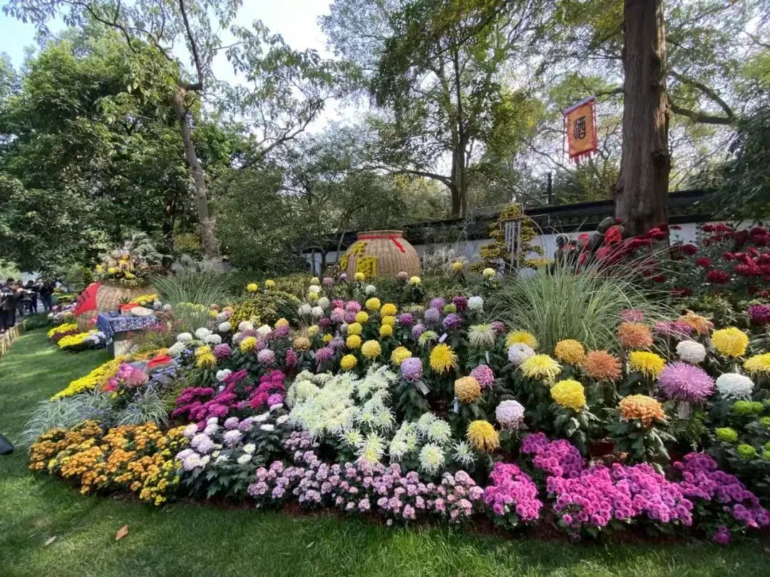 0162610c5b85c6eafbc83357efbfd16e-sz_2493697-1 0162610c5b85c6eafbc83357efbfd16e-sz_2493697-1