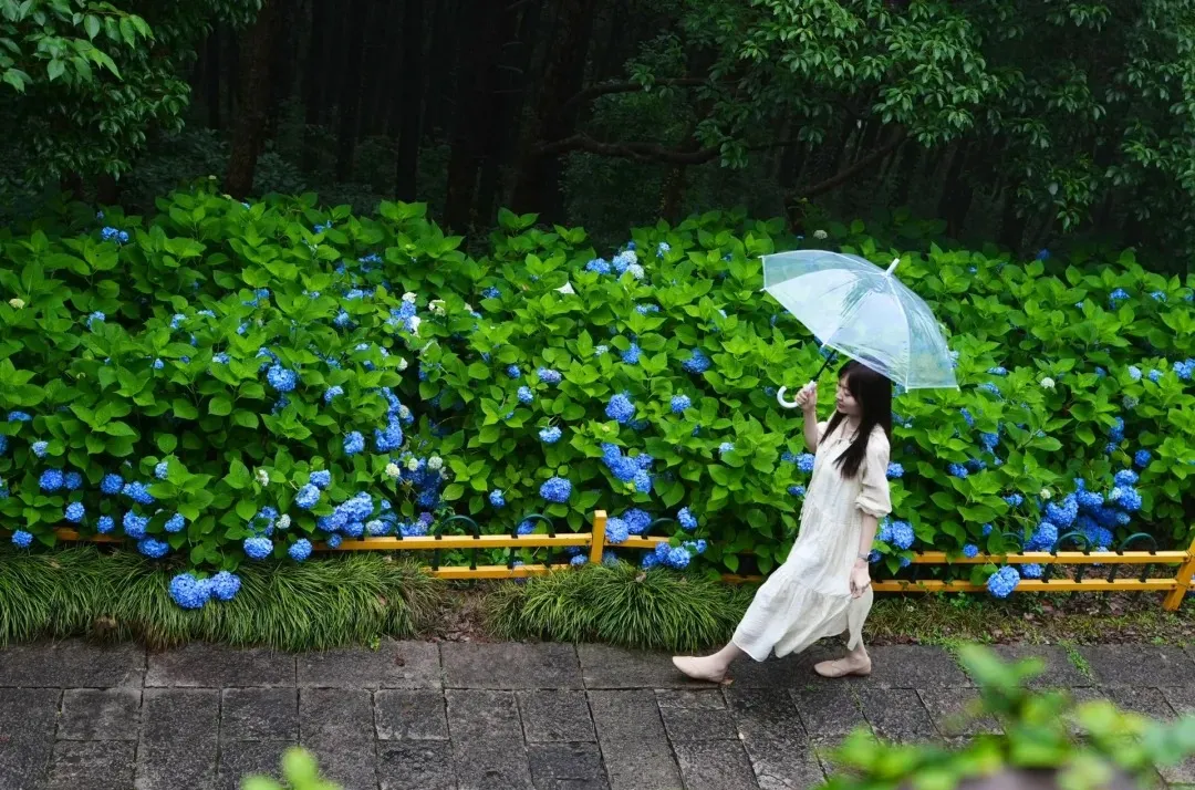 01c22600e376bd47822fe185bd188571-sz_603983