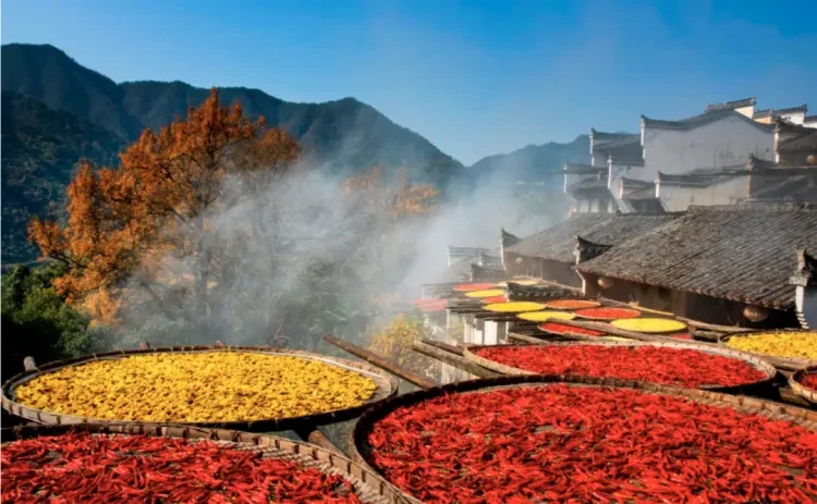 01c26942b7aa21db37a8d6da29c0e6eb-sz_1168439