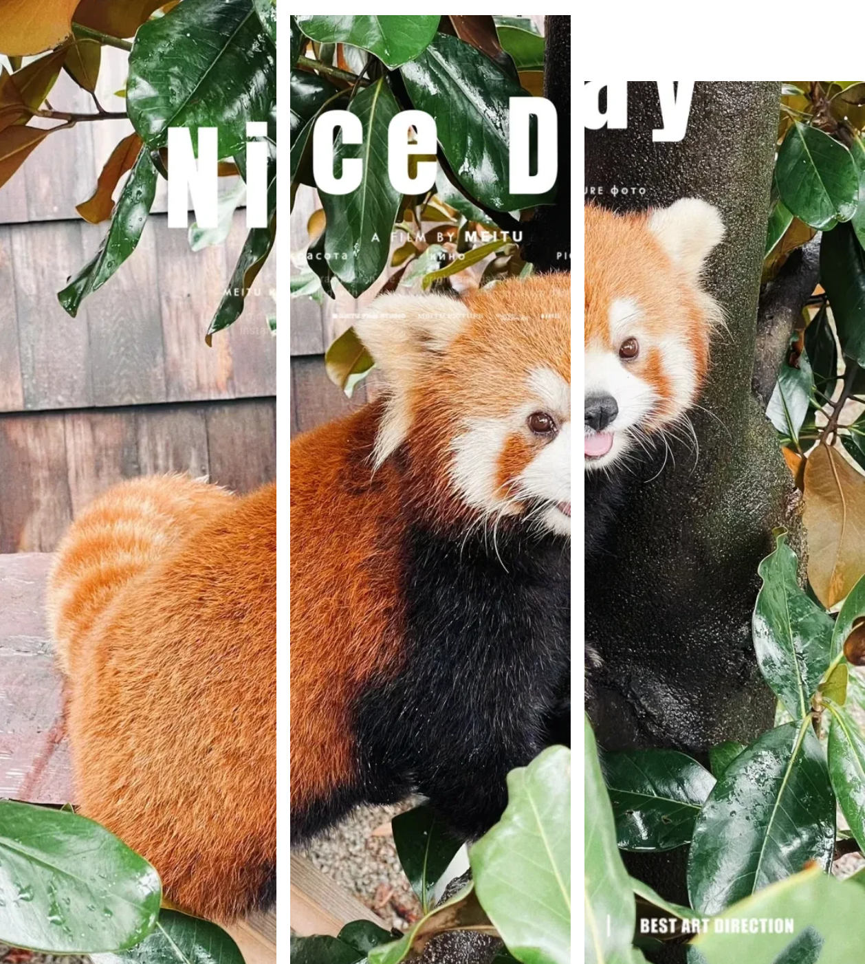 01dcd4b8c2a6ffb5322107b79558ae75 01dcd4b8c2a6ffb5322107b79558ae75