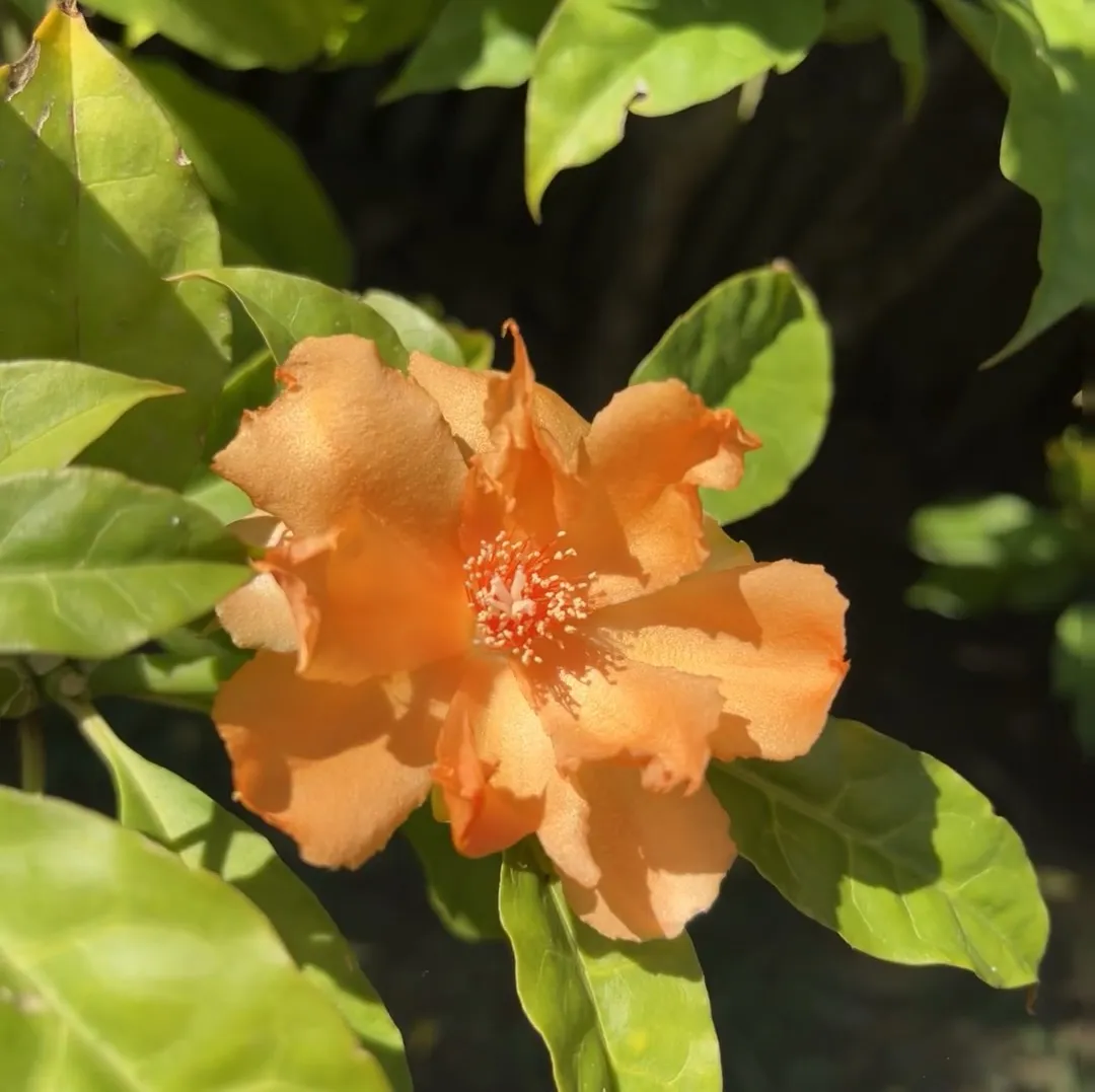 022172bd75b350f02662ffde9a4e1df7-sz_162070 022172bd75b350f02662ffde9a4e1df7-sz_162070