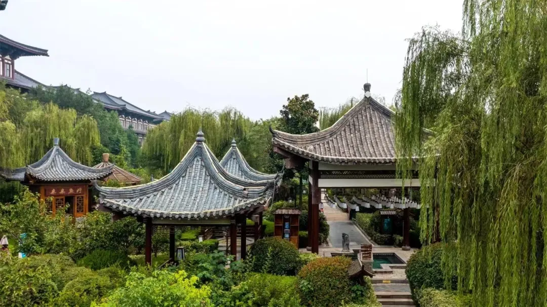 023194a115ac686dd145614bfff2975c-sz_791678 023194a115ac686dd145614bfff2975c-sz_791678