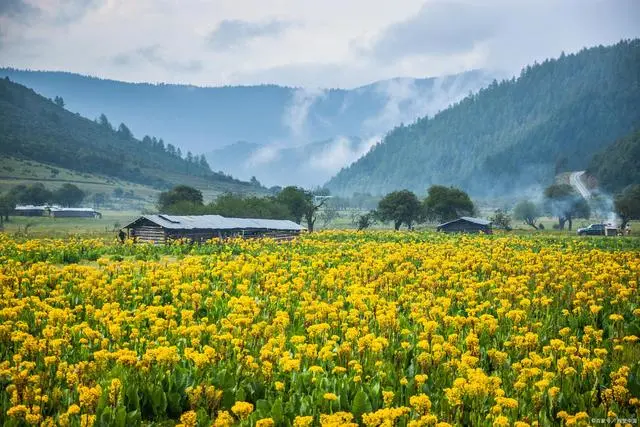 023fbdee8a1a09b7d299315fd769172f-sz_69797 023fbdee8a1a09b7d299315fd769172f-sz_69797