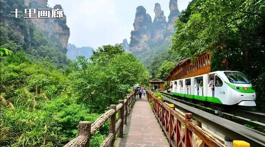 02447f0c0f545830e6f2f0aa8709f71b-sz_173428