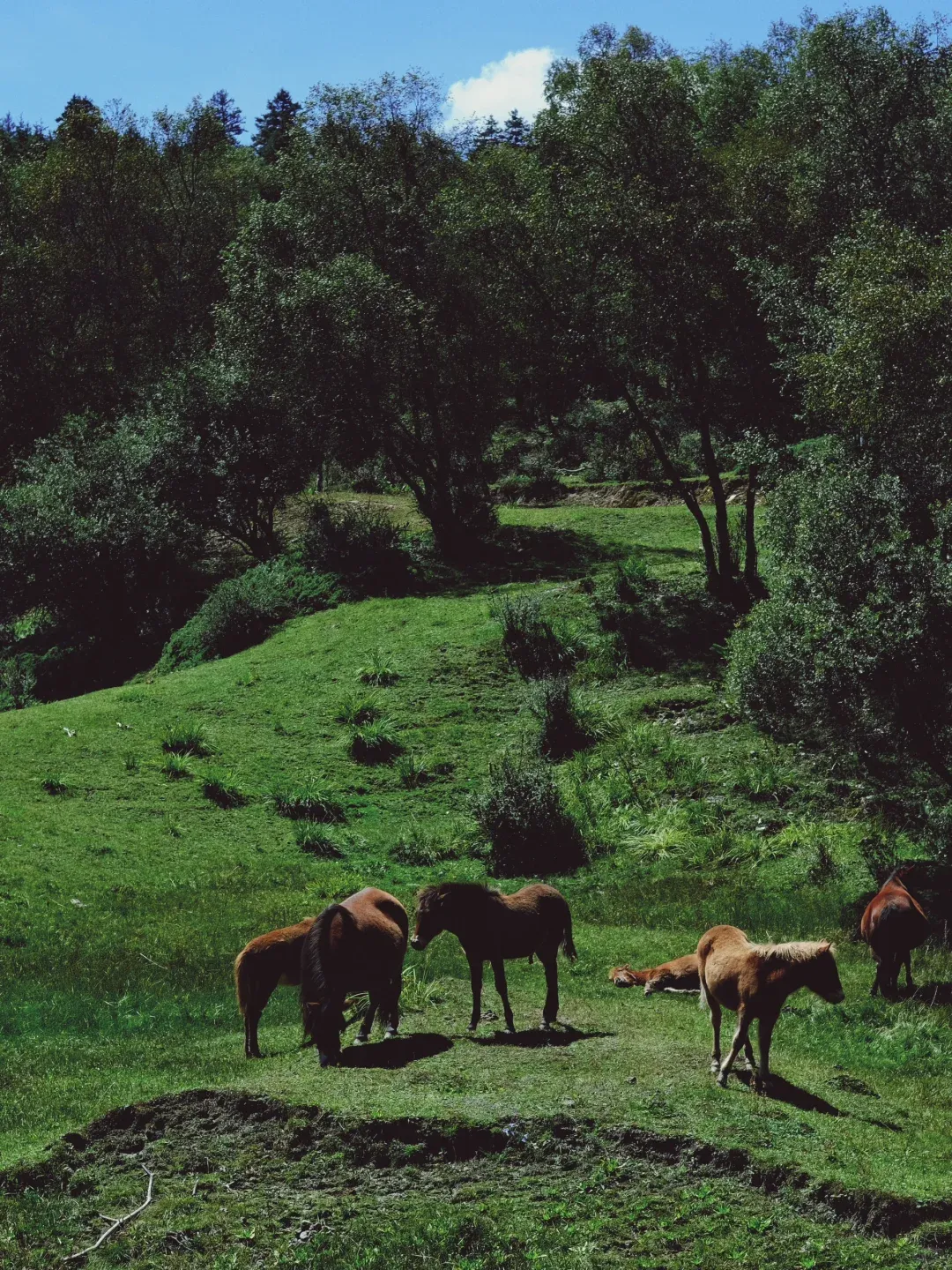 027bb73efac7a4b4120eb3cb21568985-sz_3345770-1