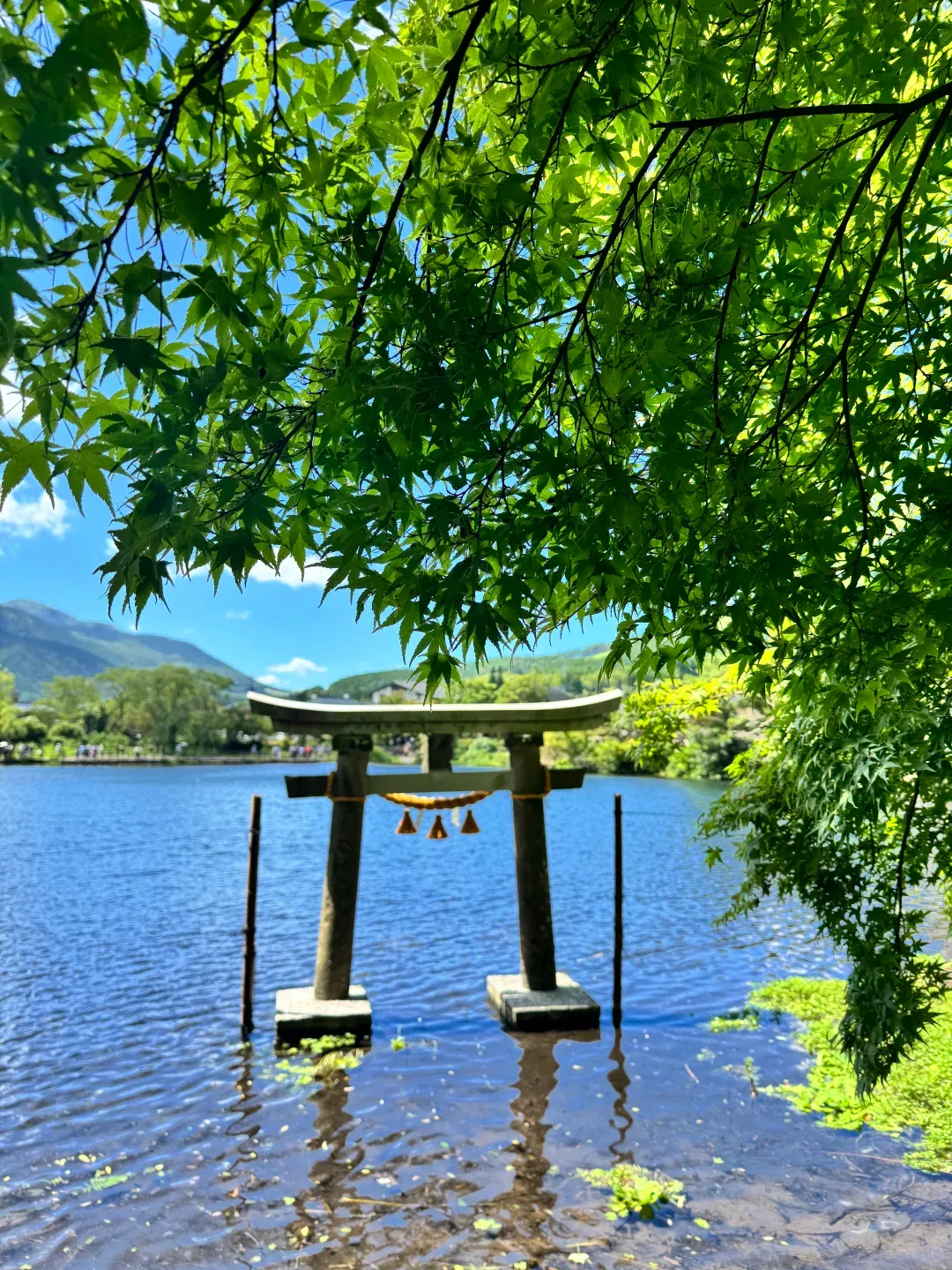 02940e0edae003e864b9e796b9c4ac85-sz_3604790 02940e0edae003e864b9e796b9c4ac85-sz_3604790