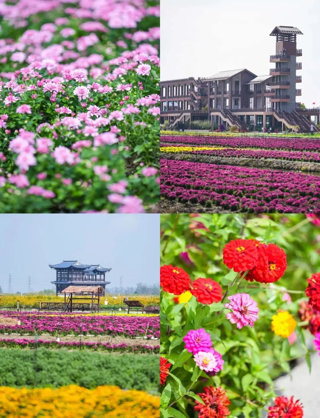 0295a7889eee21804903a2e3f6ca71be-sz_250331 0295a7889eee21804903a2e3f6ca71be-sz_250331