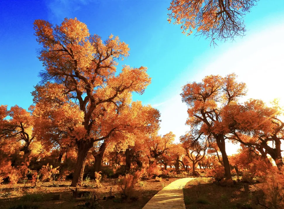 02fb8e9d2fd5485f67e1cdf02fca72a8-sz_548312 02fb8e9d2fd5485f67e1cdf02fca72a8-sz_548312