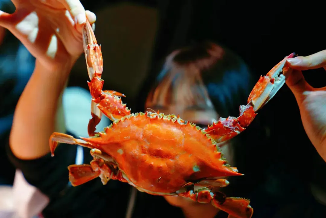 030d9b985a63e25298497aac350394d2-sz_158083 030d9b985a63e25298497aac350394d2-sz_158083