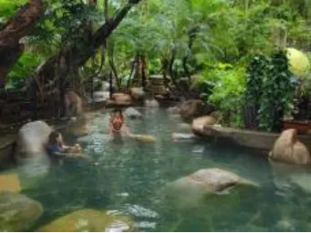 032005f211d01018e0d56cf377d84604-sz_350083