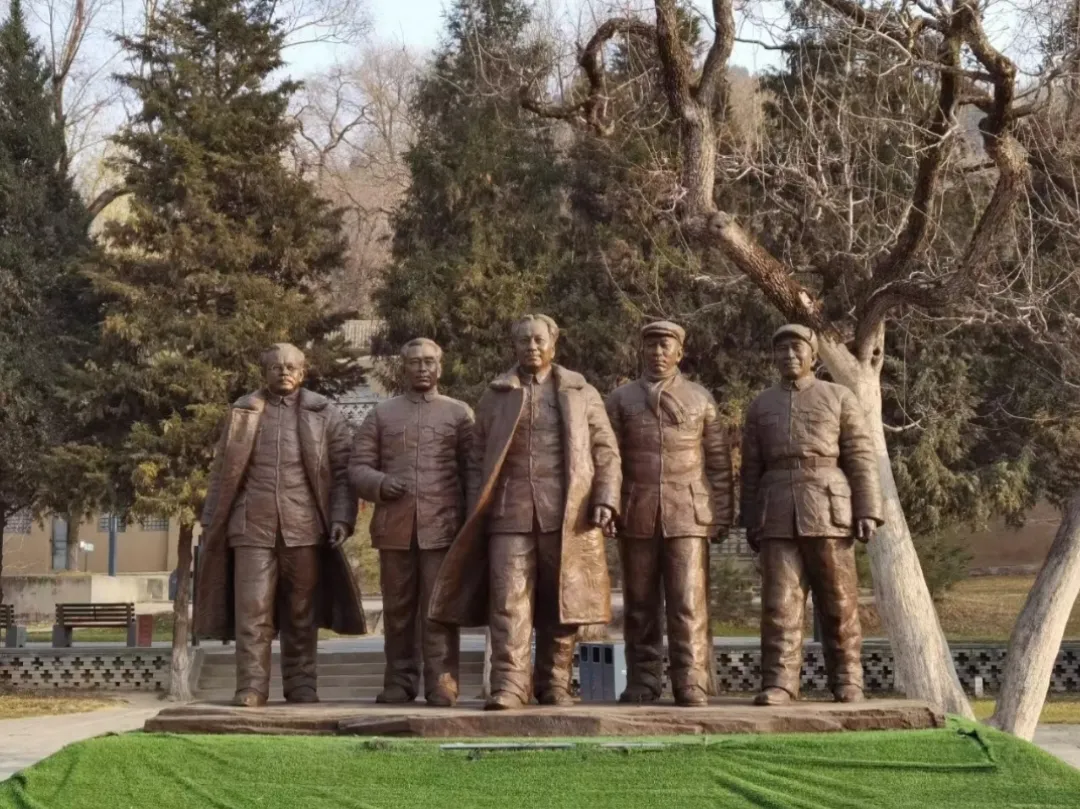 03428ce90f3ba0bffc2a1baab59f8e43-sz_531805-1