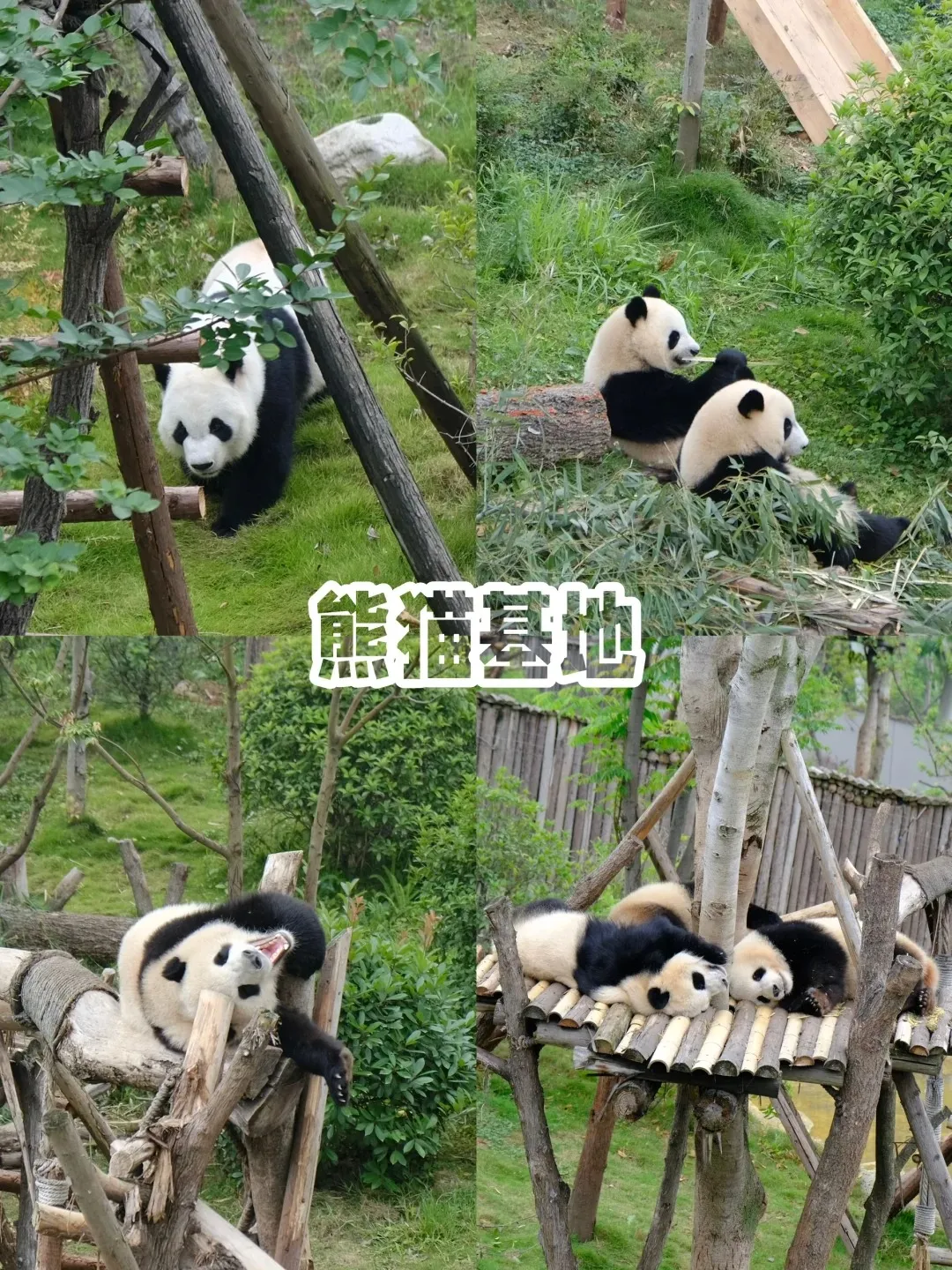 0359bf5f4cfdc1a08e1d85456edc2893-sz_627553 0359bf5f4cfdc1a08e1d85456edc2893-sz_627553