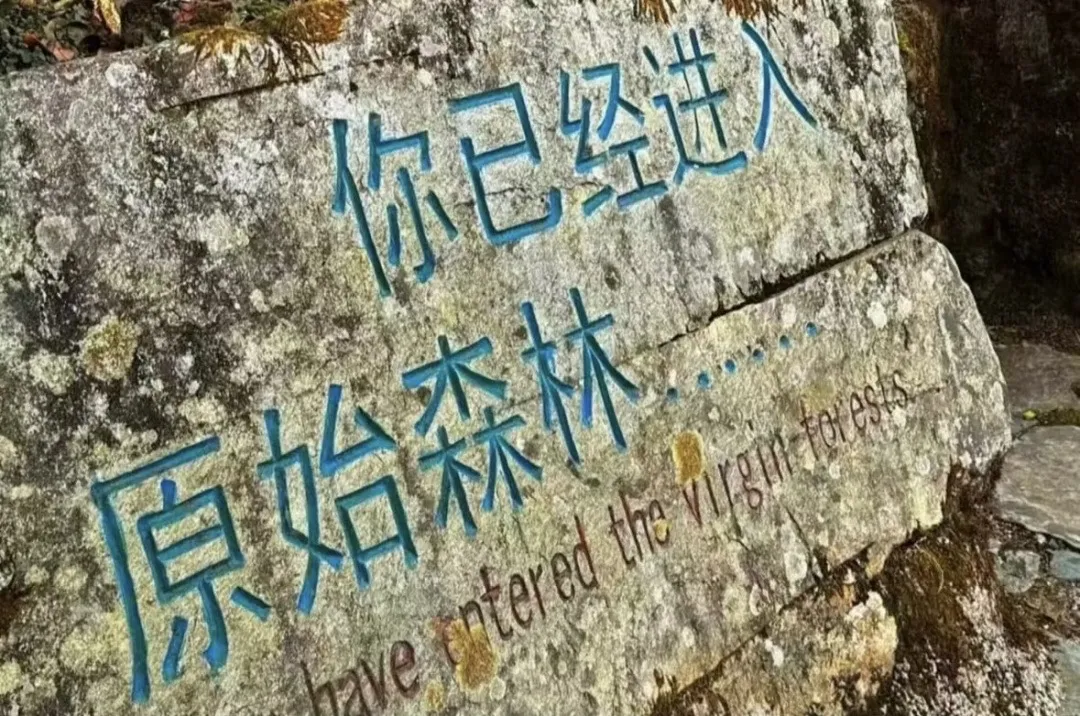 0389f9cda56be08e2ce913532a43b245-sz_346259 0389f9cda56be08e2ce913532a43b245-sz_346259