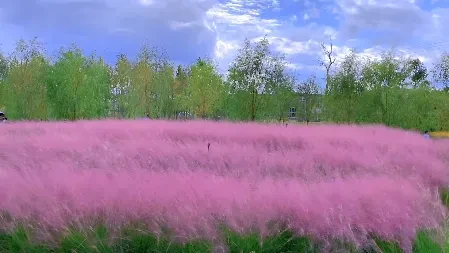 03a818211b00fe857414f7e9c731d66e-sz_276995 03a818211b00fe857414f7e9c731d66e-sz_276995